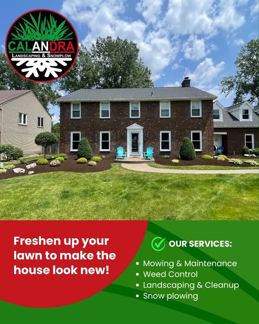 We offer many serviced to keep your lawn fresh all year round