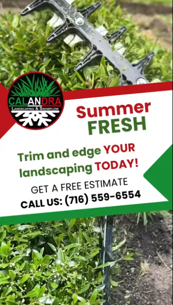 Read more about the article Keep your yard summer fresh with Calandra
