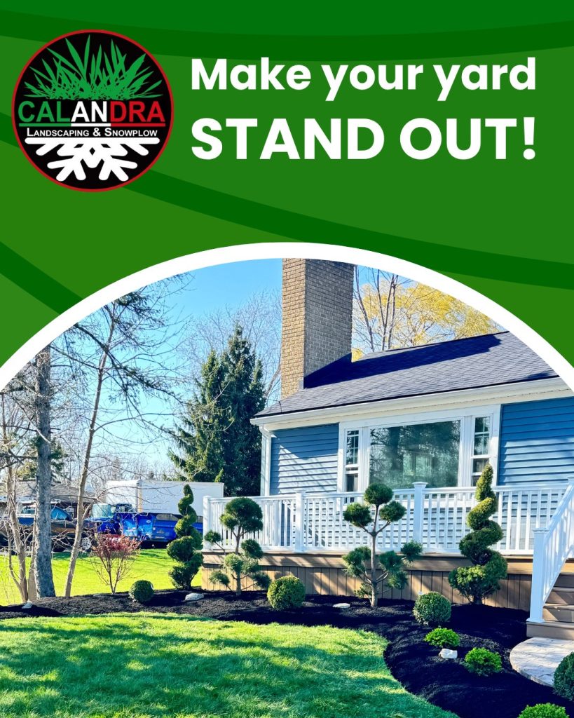 Make your Yard Stand Out
