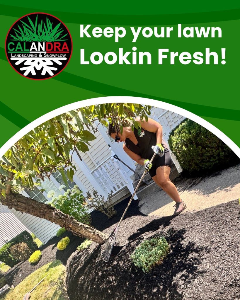Keep your lawn Lookin Fresh!