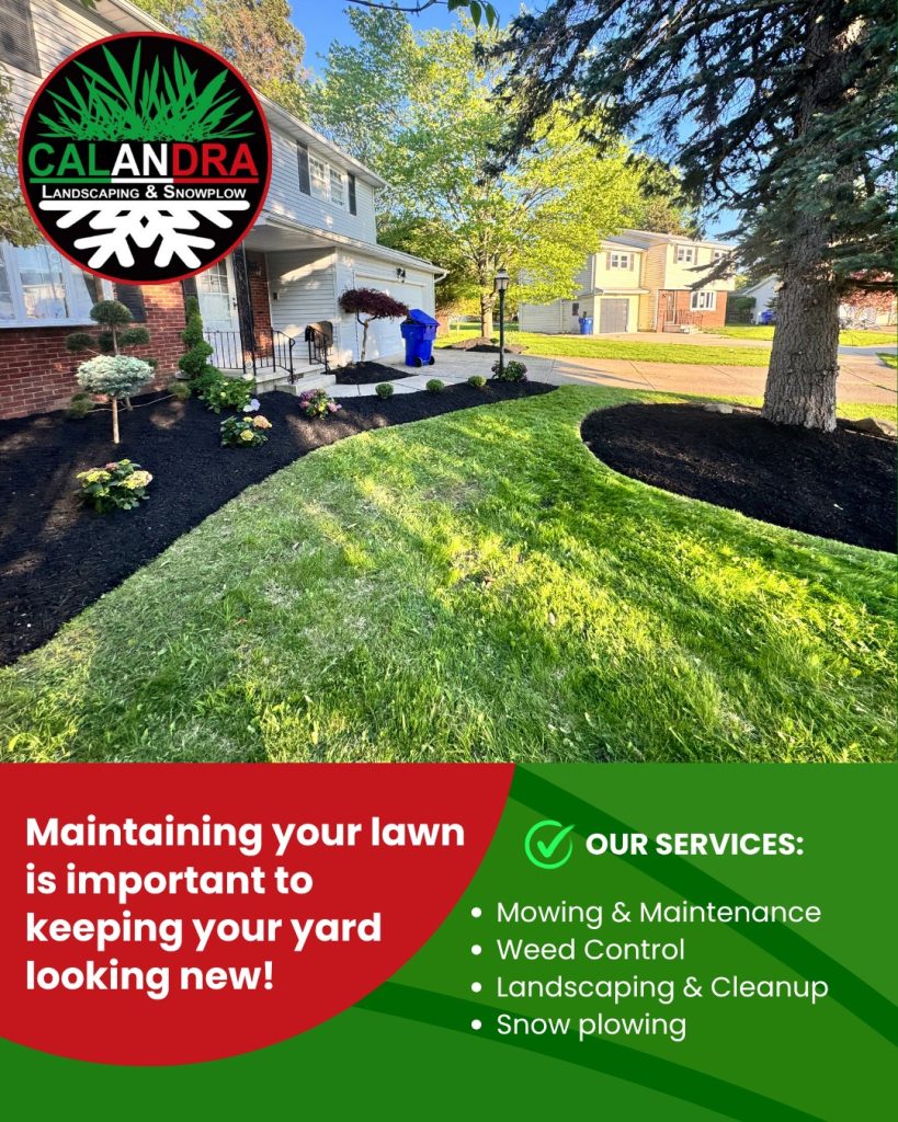 A well-maintained lawn doesn’t just look good — it adds value to your home!