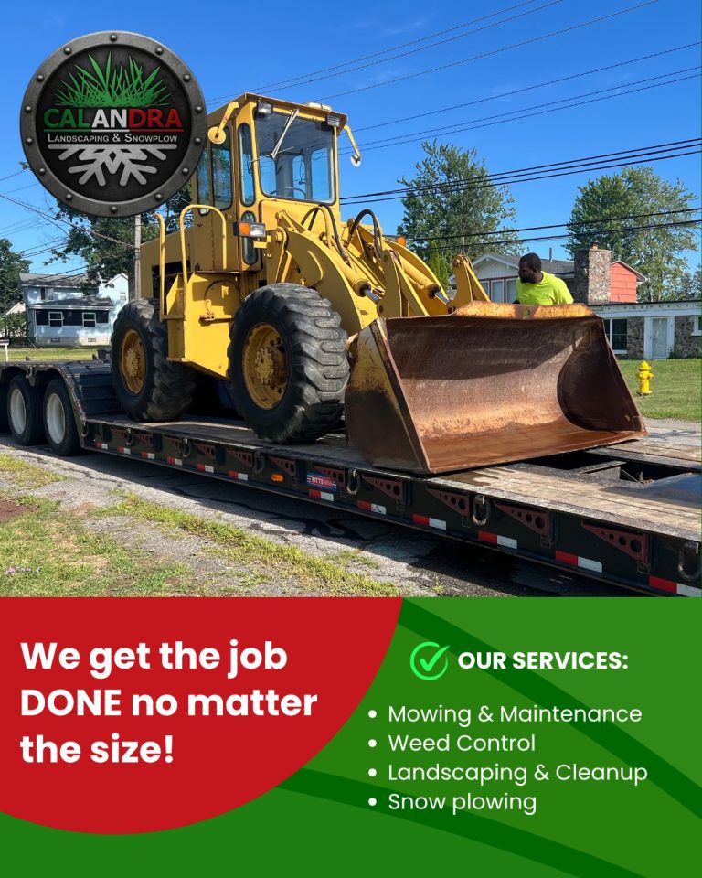 Read more about the article We Get The Job Done- No Matter The Size