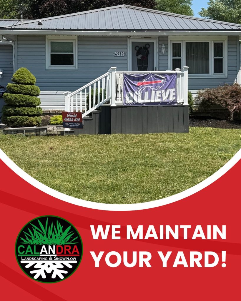 Lawn Care That Speaks For Itself