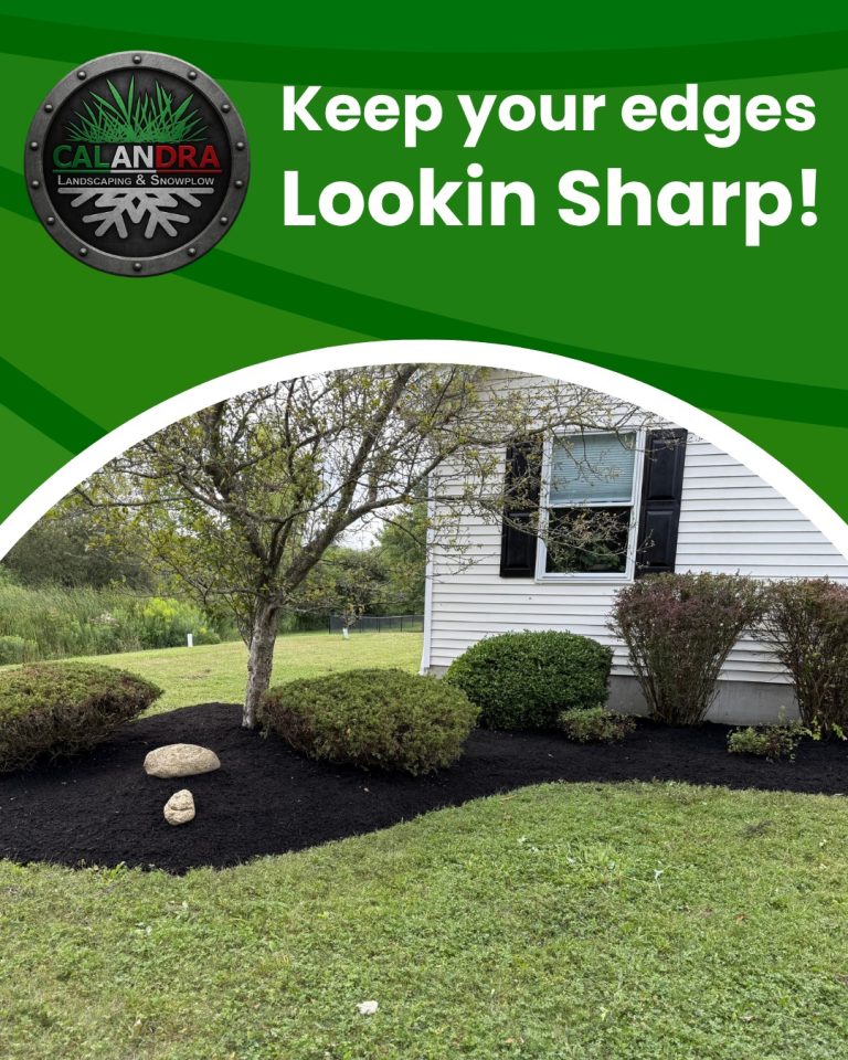 Read more about the article A Clean Edge Makes All The Difference!