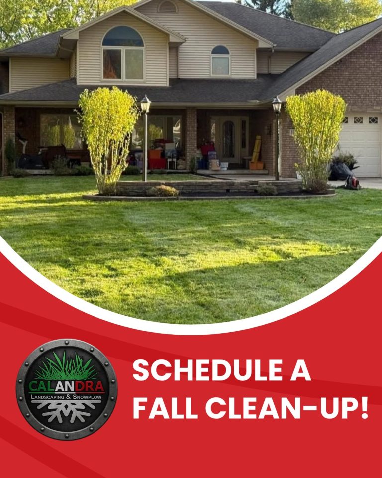 Read more about the article Leaves are falling — and so is the time to schedule your Fall Clean-Up!
