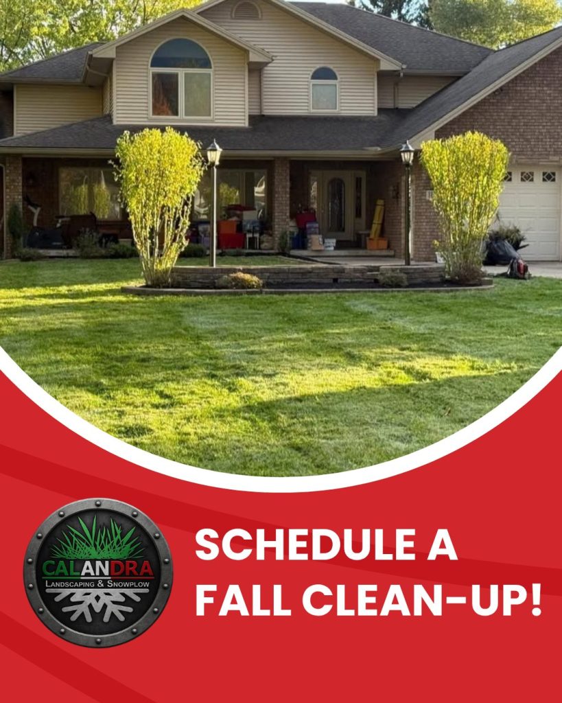 Leaves are falling — and so is the time to schedule your Fall Clean-Up!