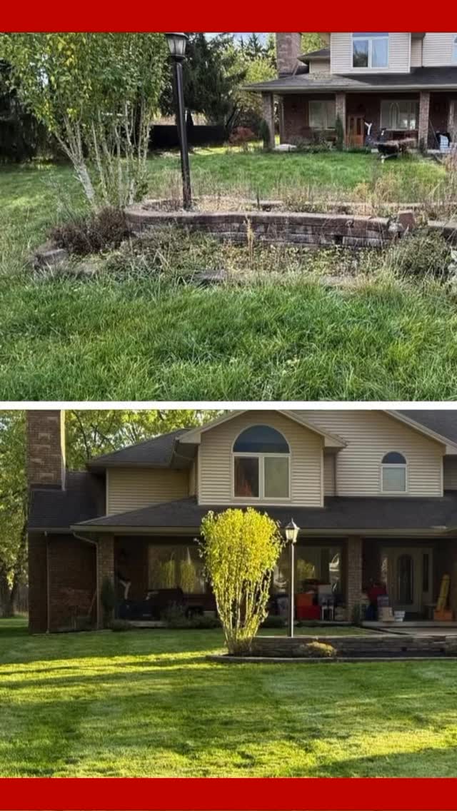 Read more about the article 🍁✨ Get Your Yard Fall-Ready! ✨🍁