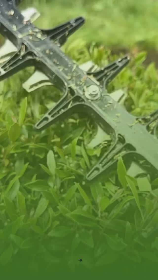 Read more about the article 🌿 Keep your lawn looking its best all year long — and save while you do it!