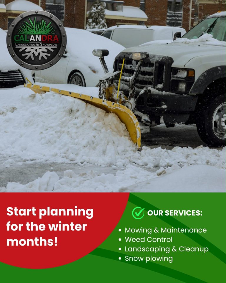 Read more about the article ❄️ The Snow is Here and We’re Ready to Clear! ❄️