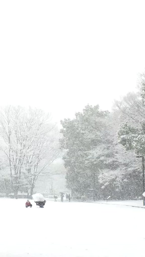 Winter showed up FAST… ❄️⛄️