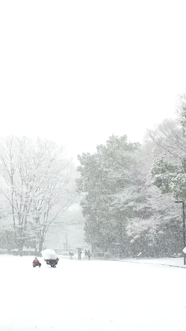 Read more about the article Winter showed up FAST… ❄️⛄️