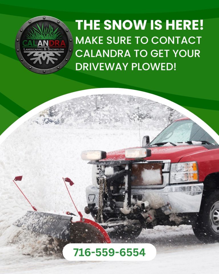 Read more about the article ❄️ The snow has arrived — don’t get stuck shoveling! 🚗💨