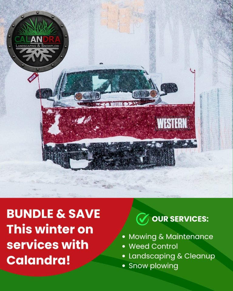 Read more about the article Winter doesn’t stand a chance. 💥❄️