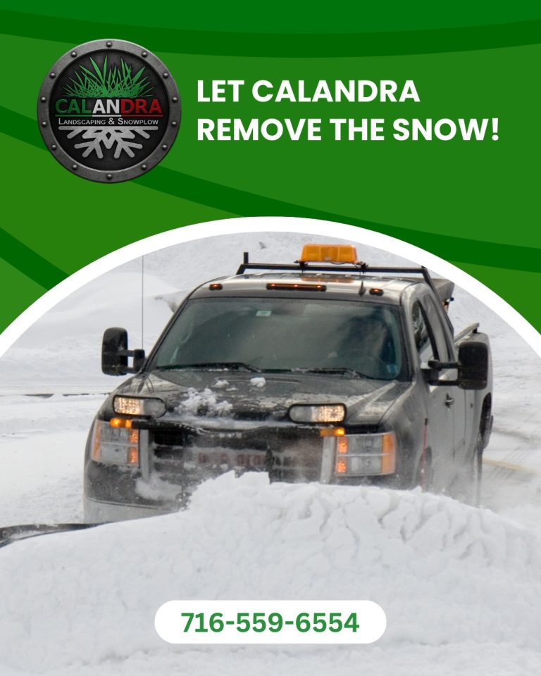 Read more about the article Need some help with snow? ❄️