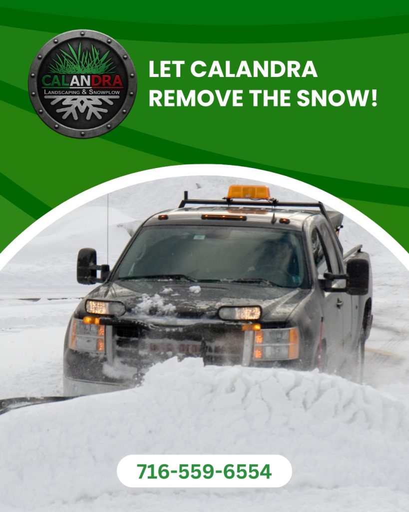 Need some help with snow? ❄️