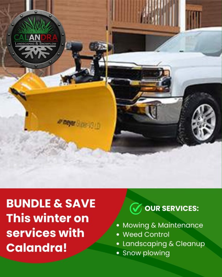 Read more about the article ❄️💥 Winter’s here — and so are the savings!