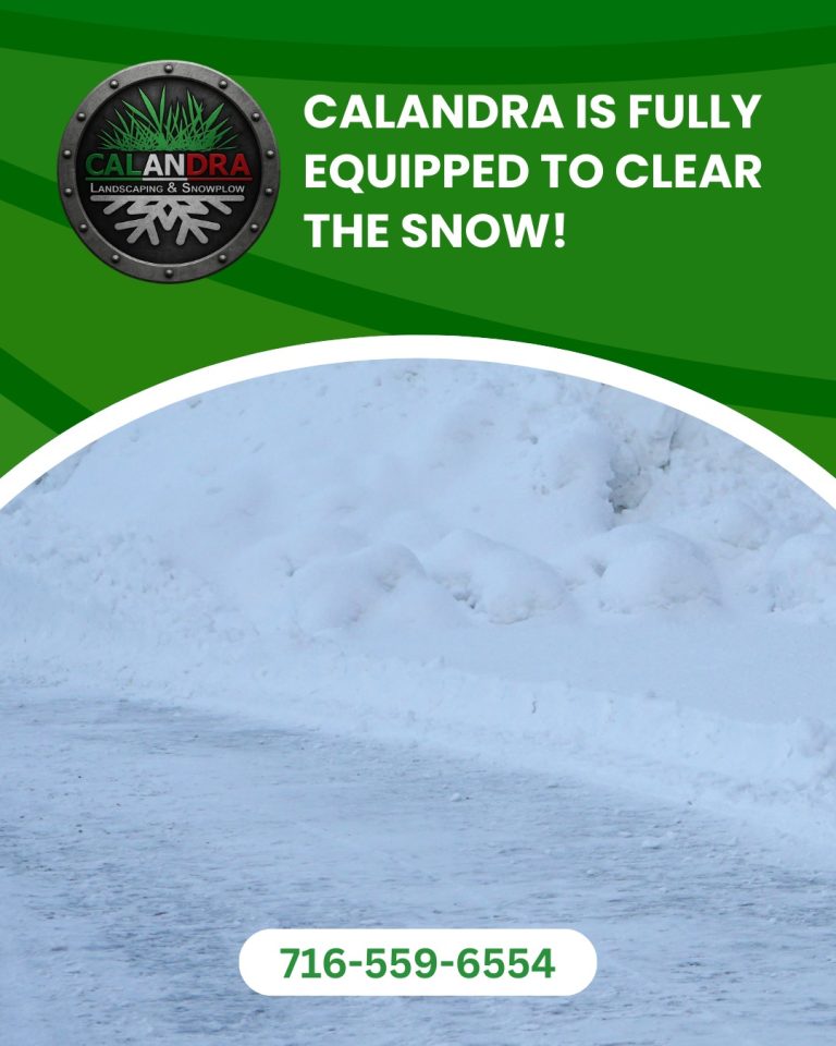 Read more about the article Snow on the ground? No problem