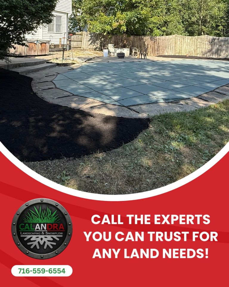 Read more about the article Another property upgrade done right