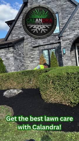 From clean cuts to curb appeal