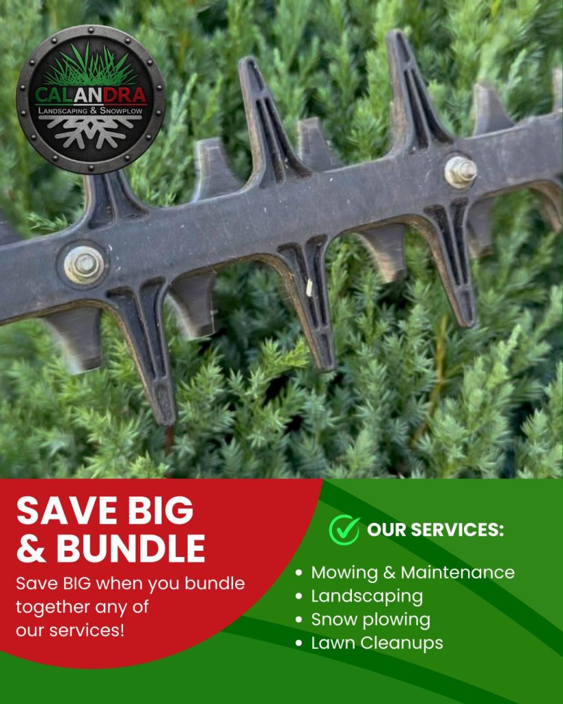 Save time. Save money. One trusted team