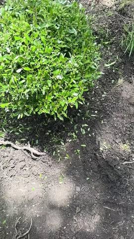 Spring is right around the corner