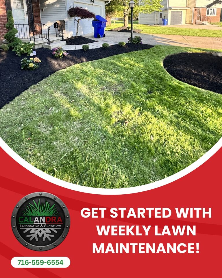 Read more about the article Weekly Lawn Maintenance Now Booking