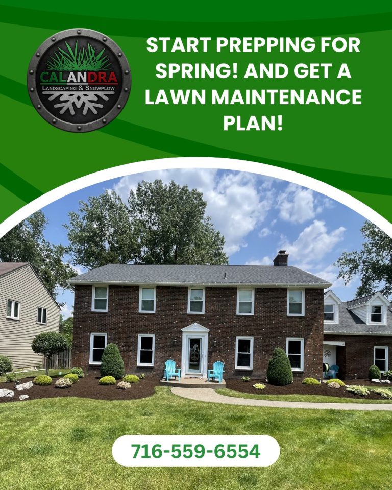 Read more about the article Spring Starts with a Better Lawn