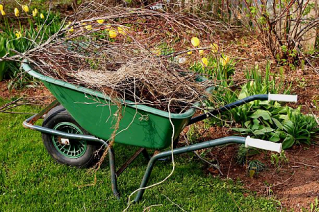 Is Your Yard Ready for Spring — or Just Surviving Winter? 
