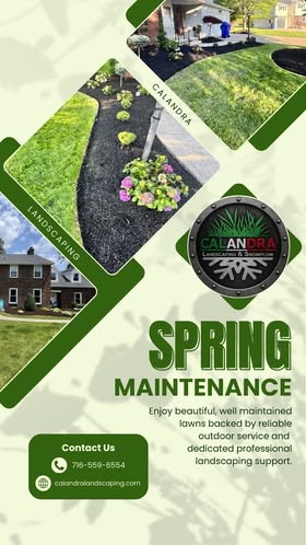 Spring is here — and your lawn deserves professional care!