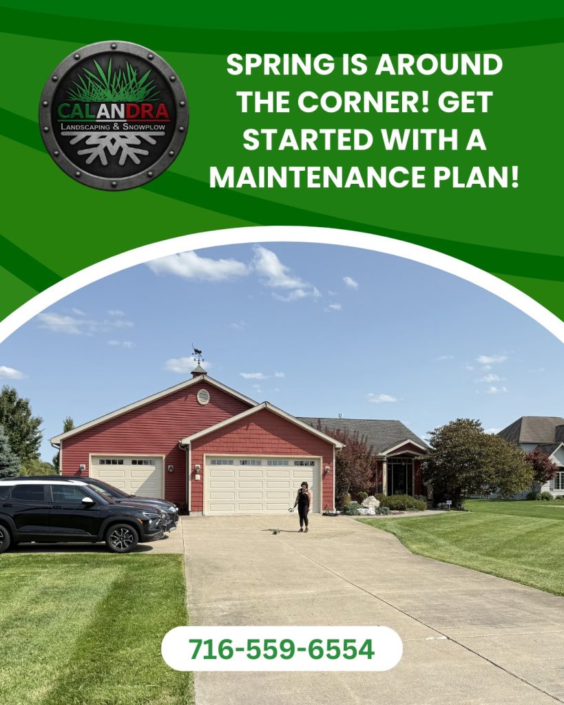 Spring is almost here