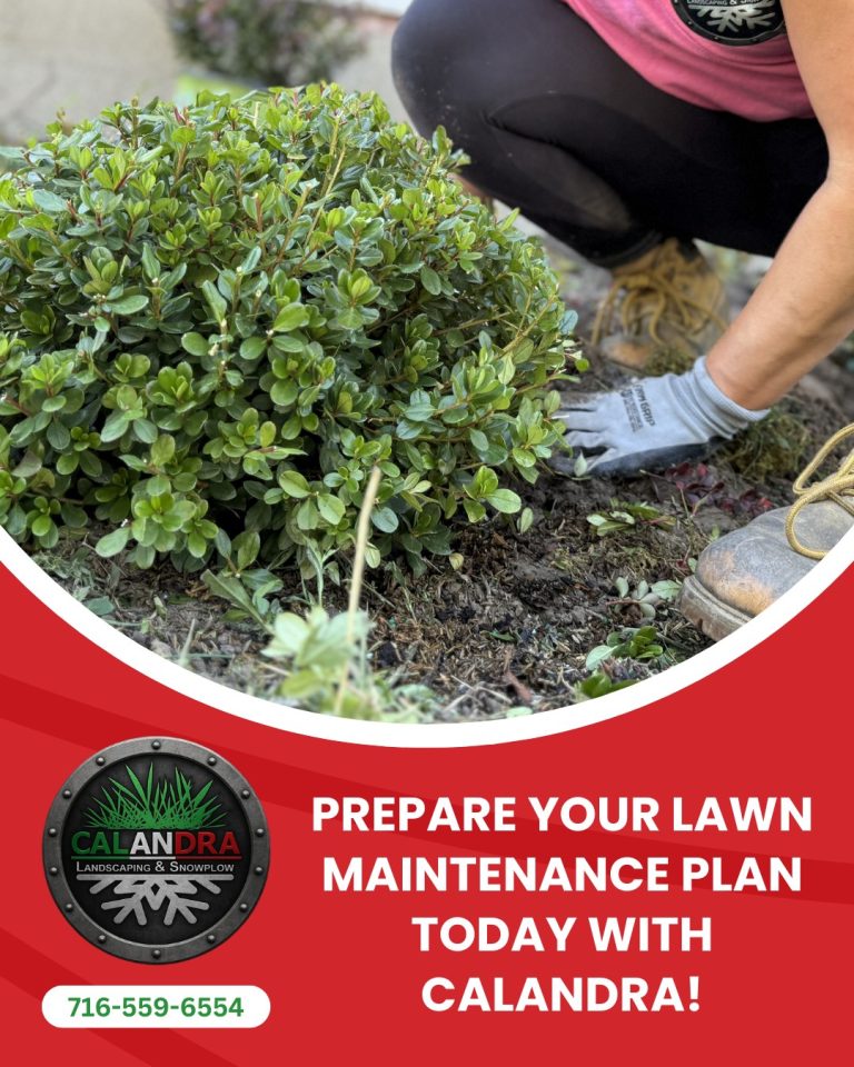 Read more about the article Spring prep starts now