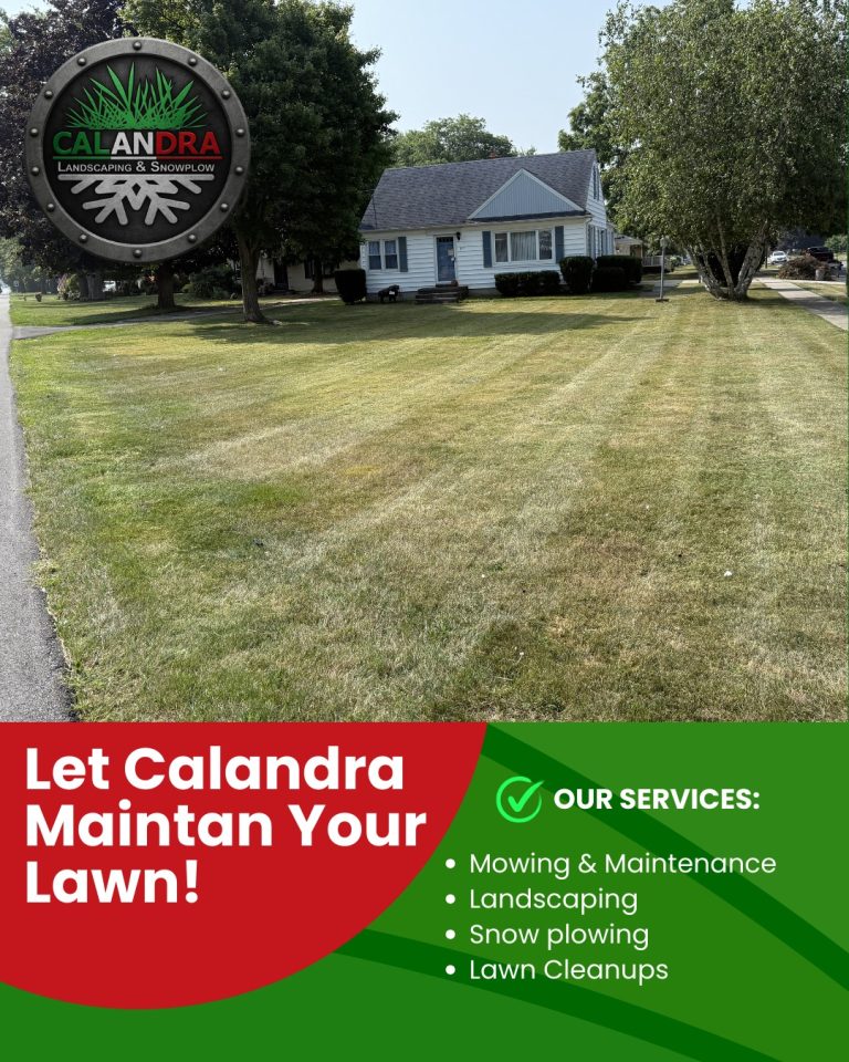 Read more about the article A well-maintained lawn makes all the difference