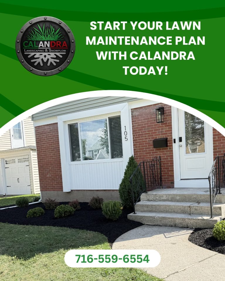 Read more about the article A great-looking lawn starts with a great plan