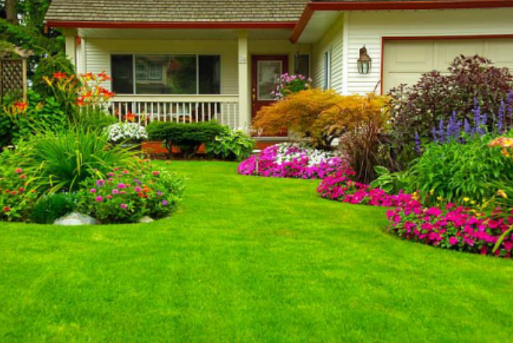 Low-Maintenance Landscaping Ideas That Still Look High-End