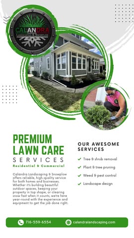 Read more about the article Premium lawn care that keeps your property looking its best