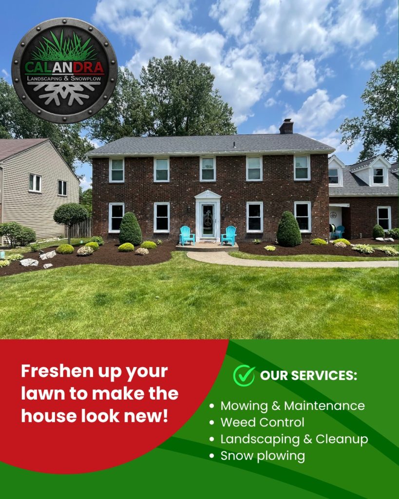 A fresh lawn can completely transform your home