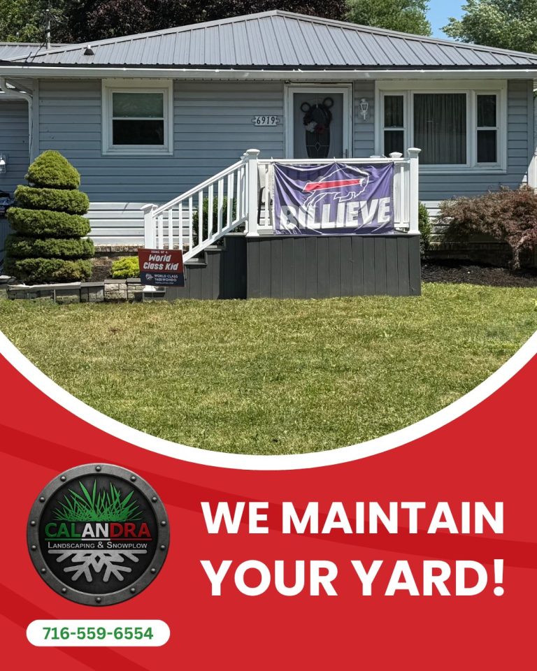 Read more about the article Sit back and let Calandra handle the yard work