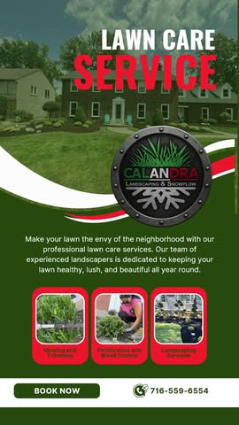 Make your lawn the envy of the neighborhood