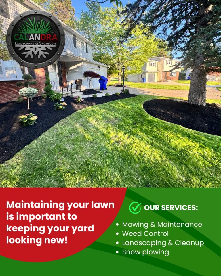 Read more about the article Regular lawn maintenance keeps your property looking fresh, clean, and well cared for