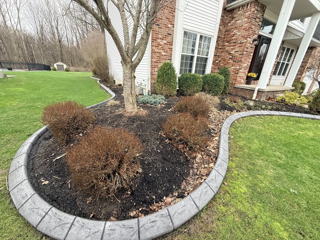 CHECK OUT THIS FULL TRANSFORMATION!