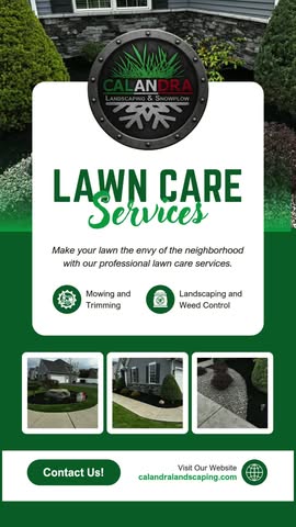 Transform your yard with professional lawn care that stands out