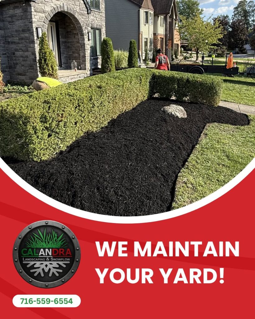 A well-maintained landscape does more than look great—it protects your investment and boosts curb appeal