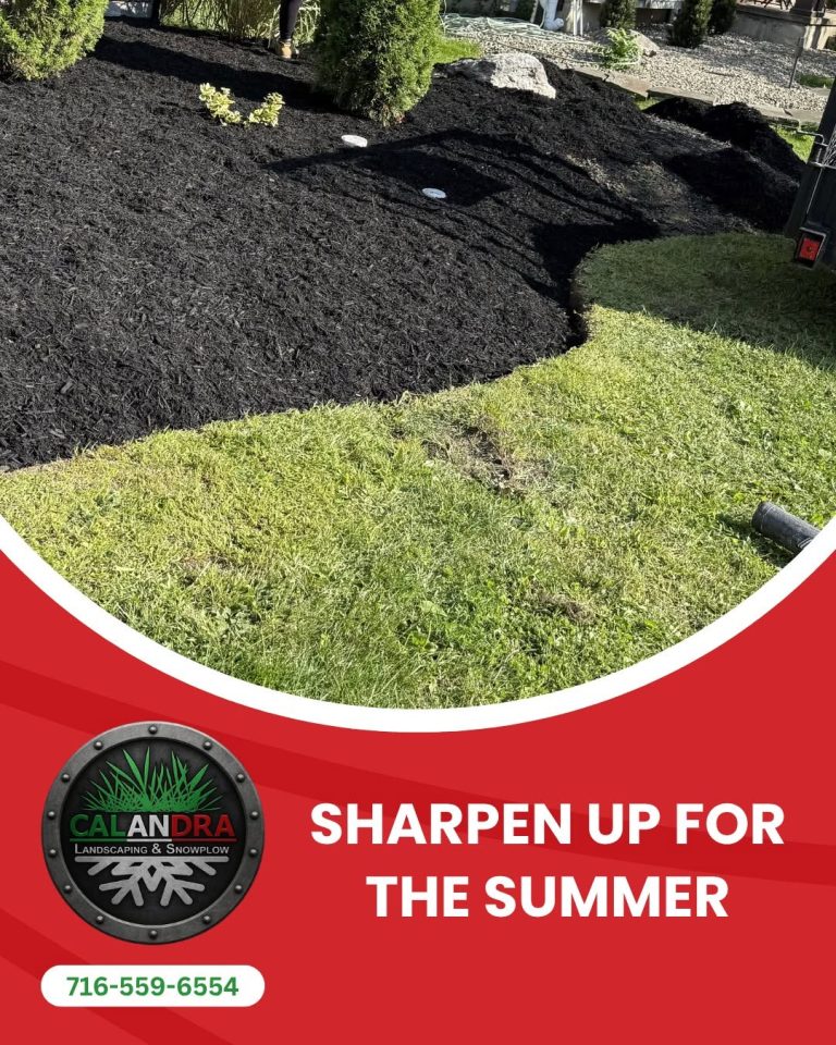 Read more about the article Summer is the perfect time to refresh your landscape