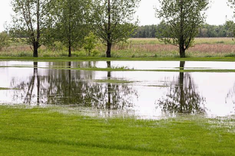 The Drainage Problem That's Quietly Damaging Your Property