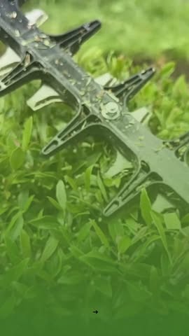 Your yard deserves more than a quick cut—it deserves professional care