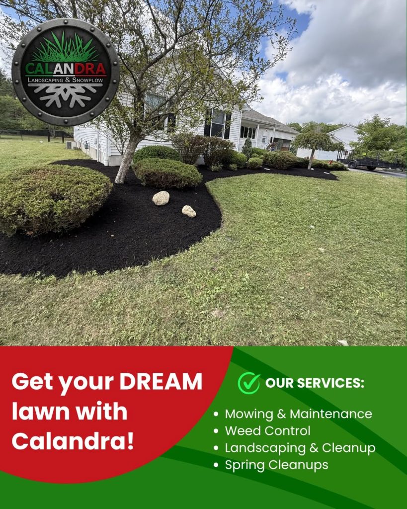 The lawn you've always wanted is closer than you think