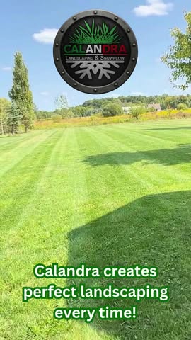 A perfectly maintained lawn doesn't happen by chance