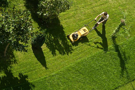 Why Some Lawns Never Reach Their Full Potential