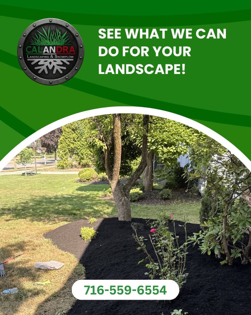 Every great landscape starts with expert care