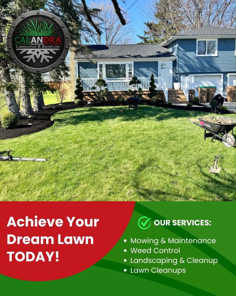 Your dream lawn starts with the right care